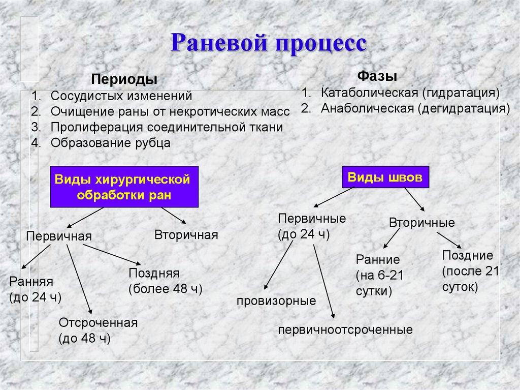 Стадии первая и вторая стадии. Раны фазы раненного процесса. Стадии раневого процесса. Фазы течения раневого процесса. Фазы ткаеквого процесса.