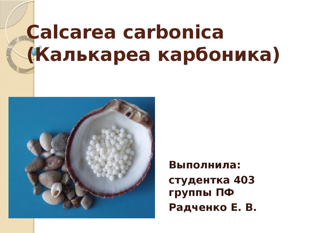 Calcarea carbonica (Калькареа карбоника) - презентация онлайн