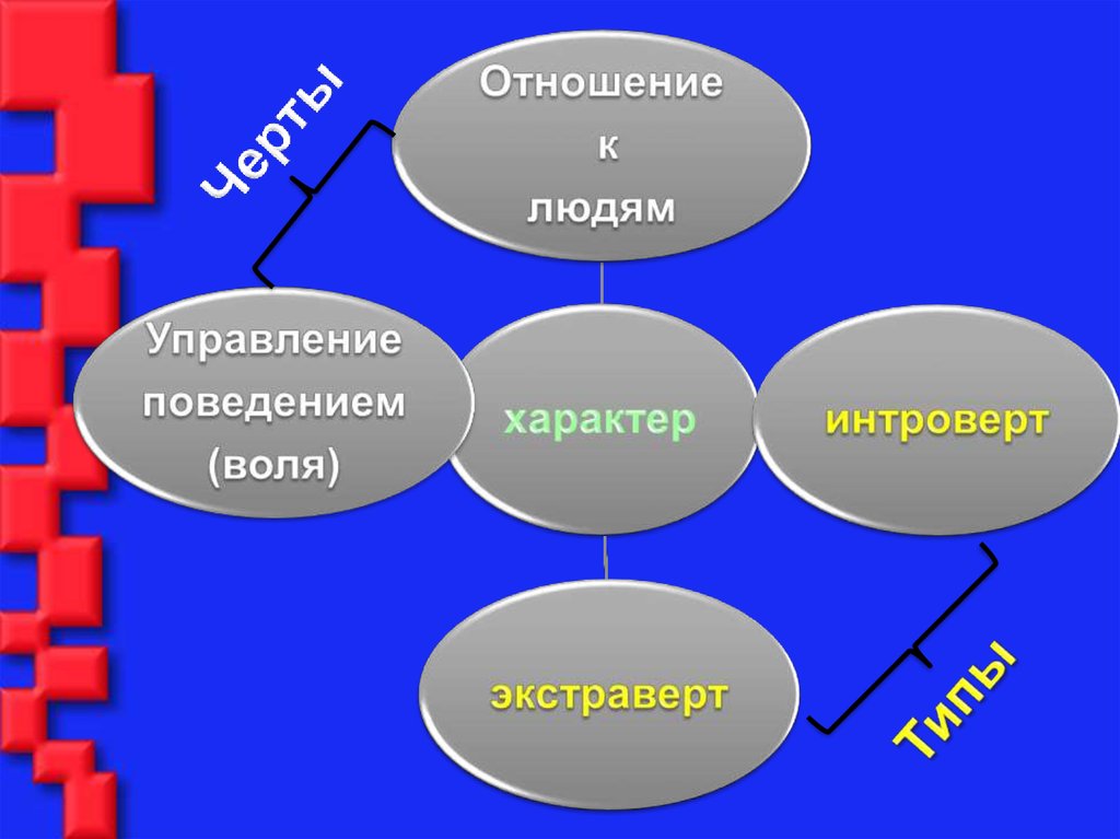 Характер и темперамент 7 класс обж презентация