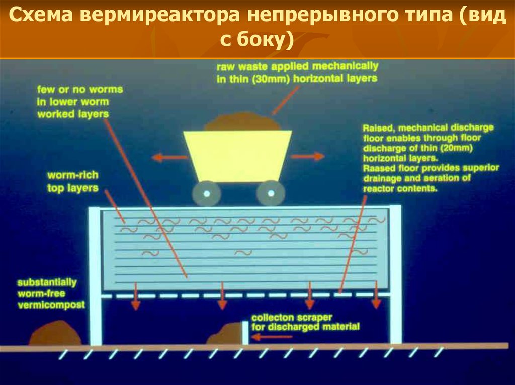 Непрерывным вид. Вермиреактор. Вермиреактор конструкция. Вермикомпостирование схема. Чертеж вермиреактора.