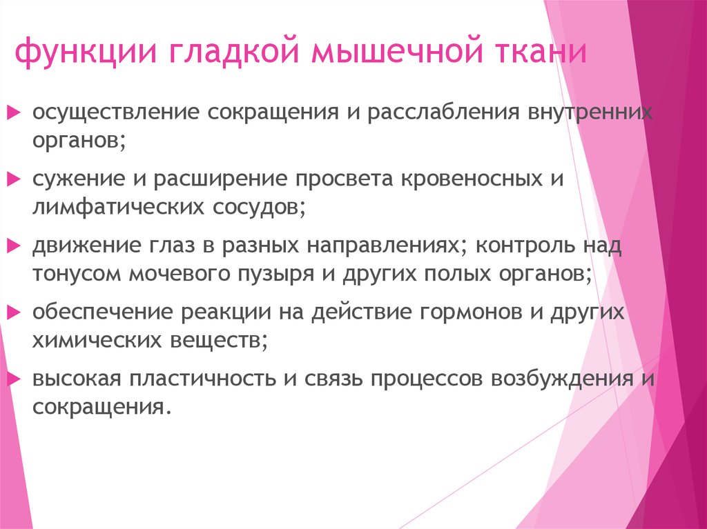 Какие функции выполняет 7. Функции гладких мышц. Гладкие мышцы функции. Гладкая мышечная функции. Гладкая мышечная ткань функции.