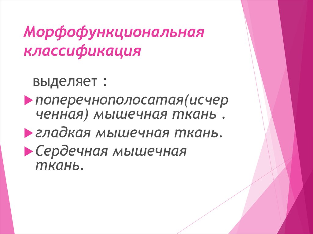 Морфофункциональная классификация