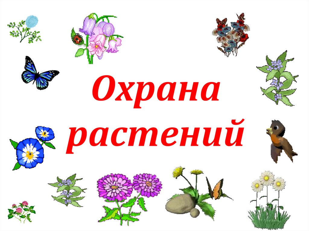 Охрана растительного