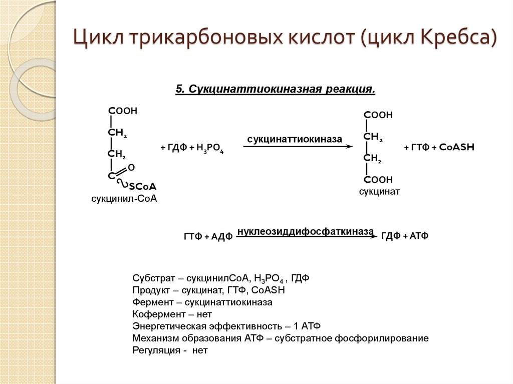 Цикл трикарбоновых кислот. Коферменты цикл трикарбоновых кислот. Цикл трикарбоновых кислот реакции. Общий путь катаболизма цикл трикарбоновых кислот ЦТК. Анаболическая роль цикла трикарбоновых кислот таблица.