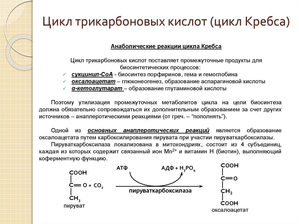 Цикл почему и. Анаболические функции цикла трикарбоновых кислот. Ферменты цикла Кребса функции. Основная биологическая роль цикла Кребса:. Коферменты цикл трикарбоновых кислот.