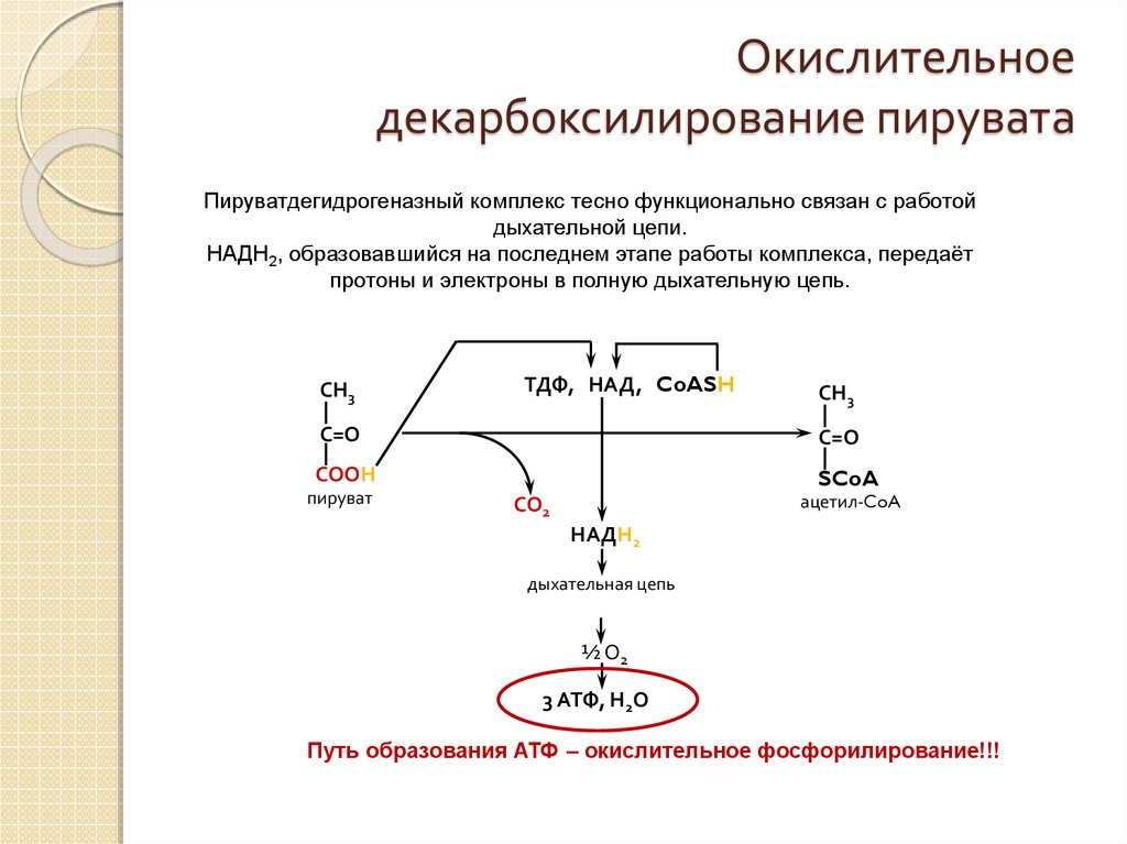 Окислительное декарбоксилирование реакции