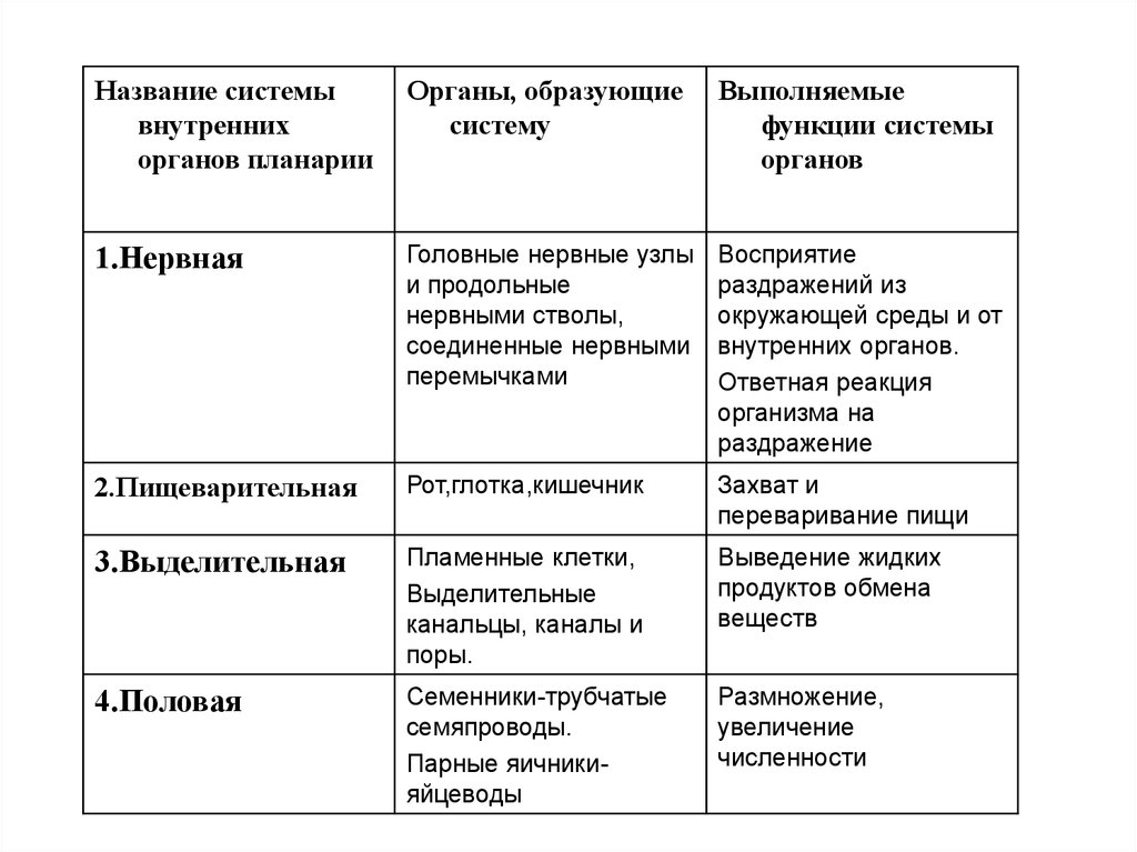 Системы органов белой планарии таблица