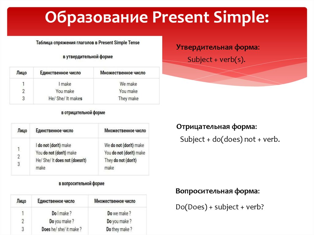 Present simple 1 предложение