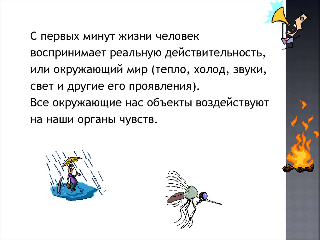 В минуту жизни. Все окружающие нас объекты воздействуют на наши органы чувств. Одинаково ли разные люди воспринимают окружающий мир. При помощи чего человек воспринимает окружающую действительность. Все окружающие нас объекты воздействуют на наши органы чувств текст.