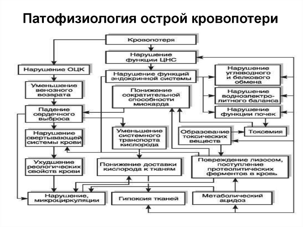 Патогенез геморрагического шока схема