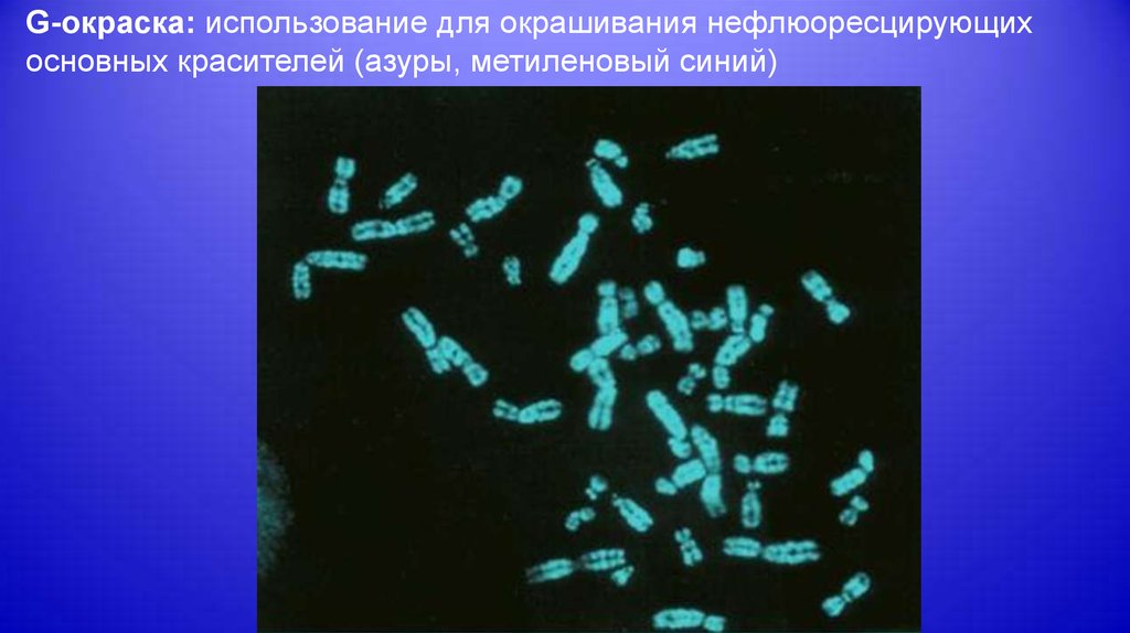 Окраска метиленовым синим