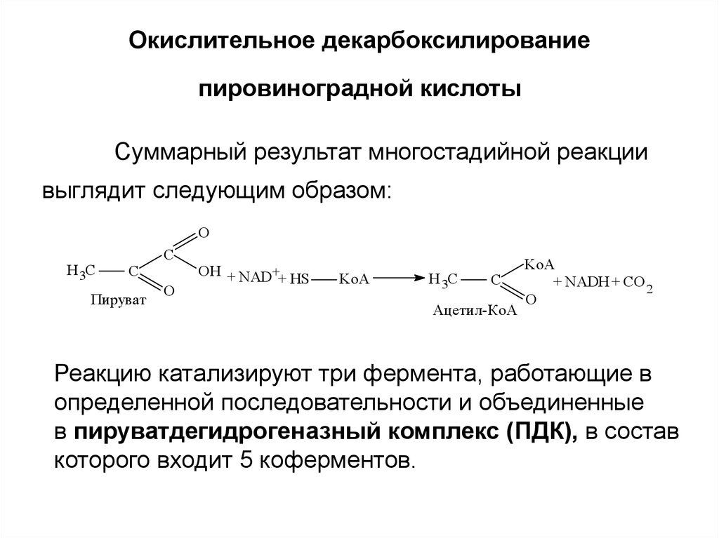 Пировиноградная кислота процессы