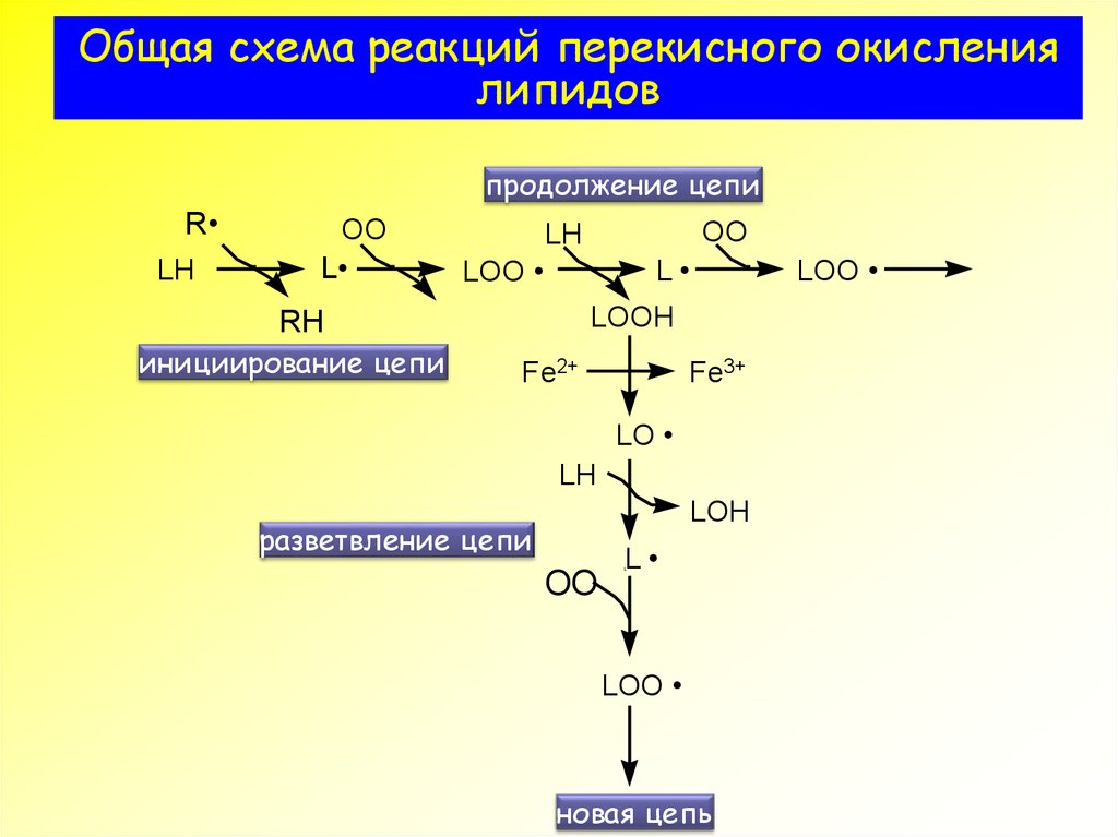 Укажите схему процесса окисления