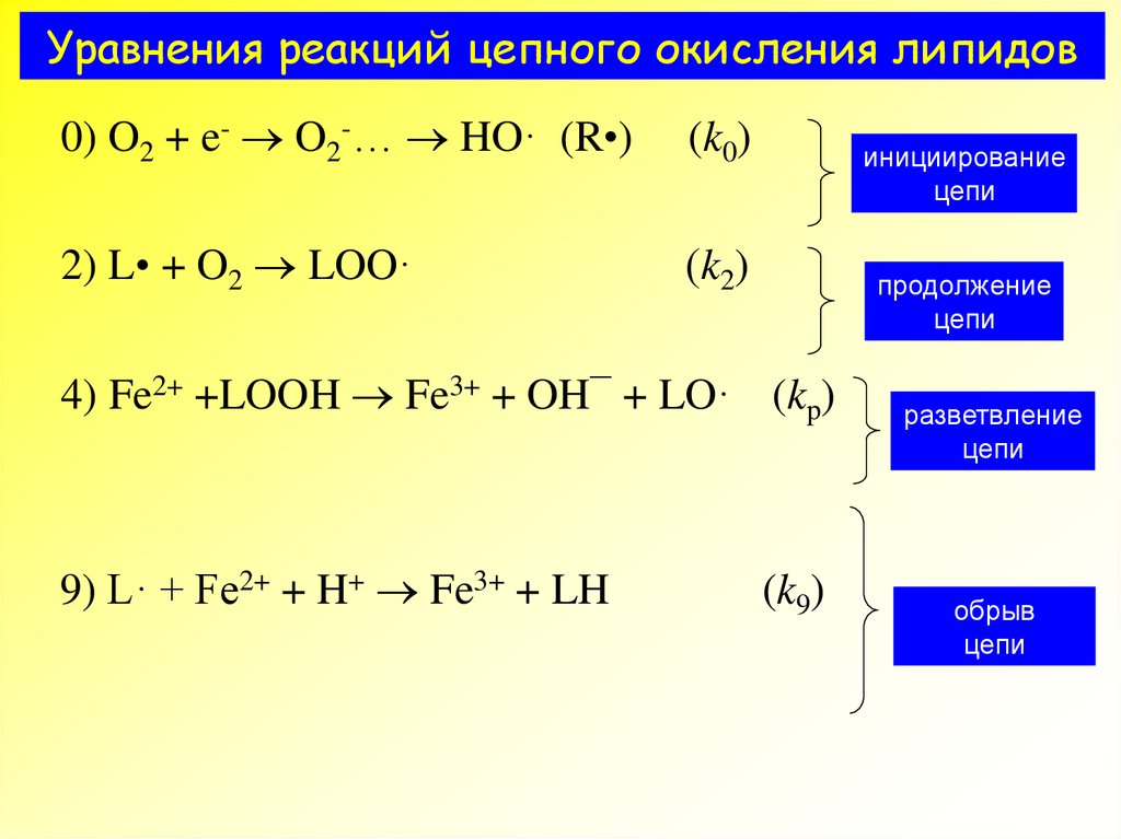 Дано уравнение реакции. Окисление липидов реакция. Реакция окислениелипиды\. Реакция цепного окисления липидов. Реакции перекисного окисления липидов.