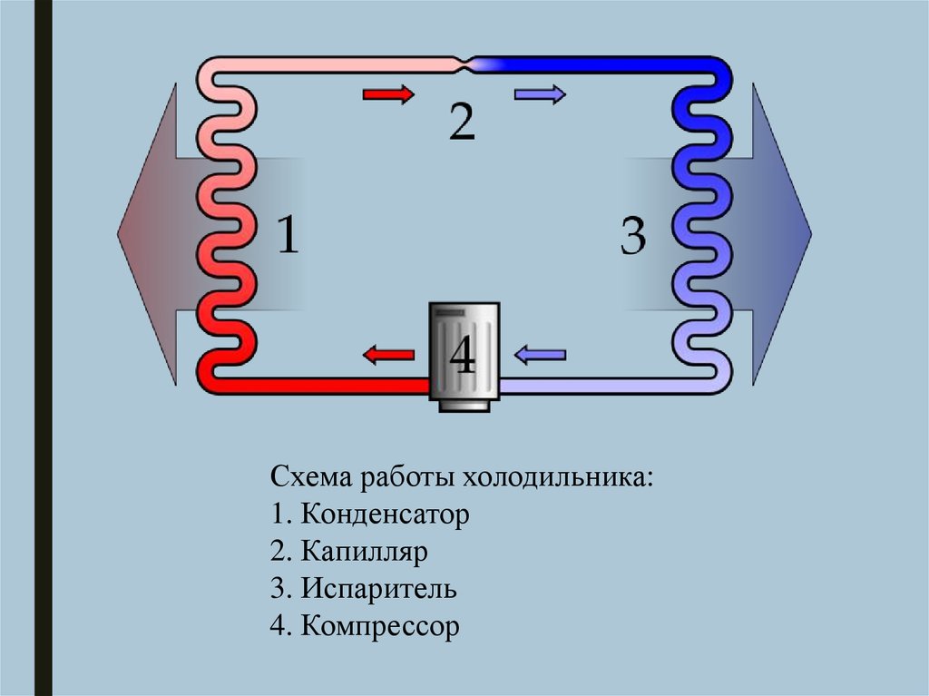 Схема устройства холодильника. Принцип работы холодильника. Капиллярный испаритель схема. Принцип работы холодильника физика. Схема работы капиллярного испарителя в режиме с делением потока.