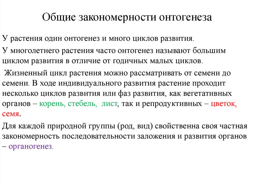 Онтогенез растений презентация