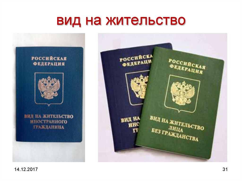 Вид на жительство страны. Вид на жительство. Вид на жительство в России. Вид на жительтсво в Росс. Виды жителей.