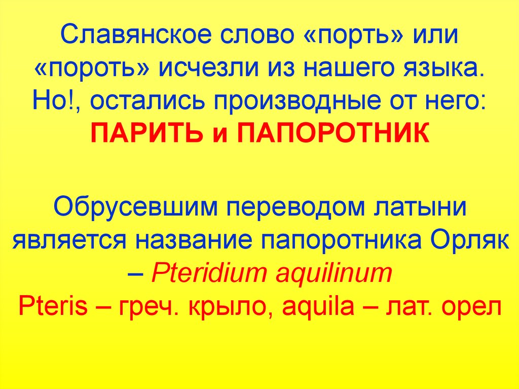 О чем говорят названия цветов проект