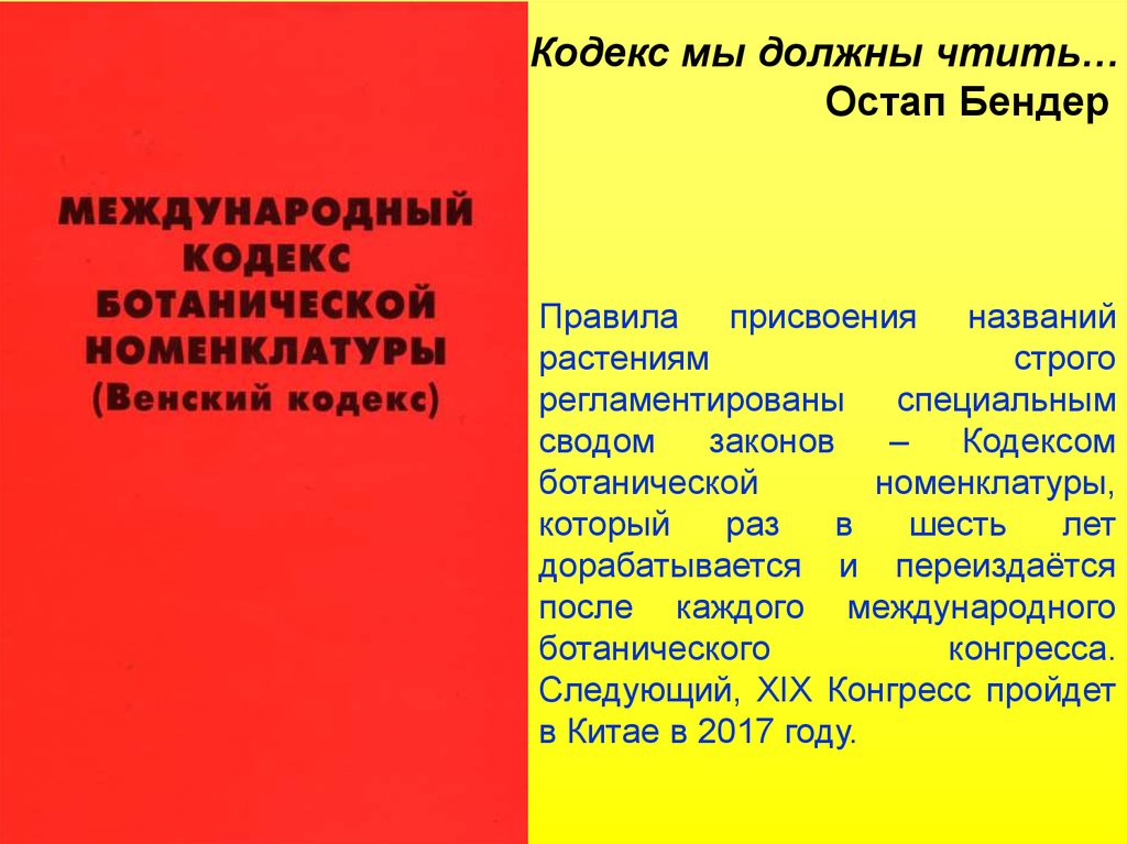 О чем говорят названия цветов проект