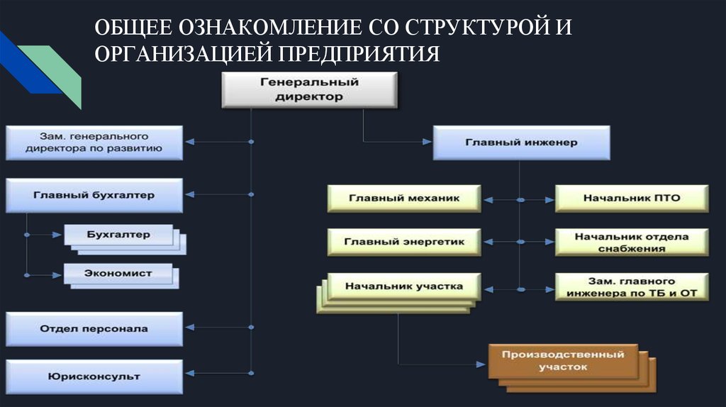 Знакомство Со Структурой Учреждения