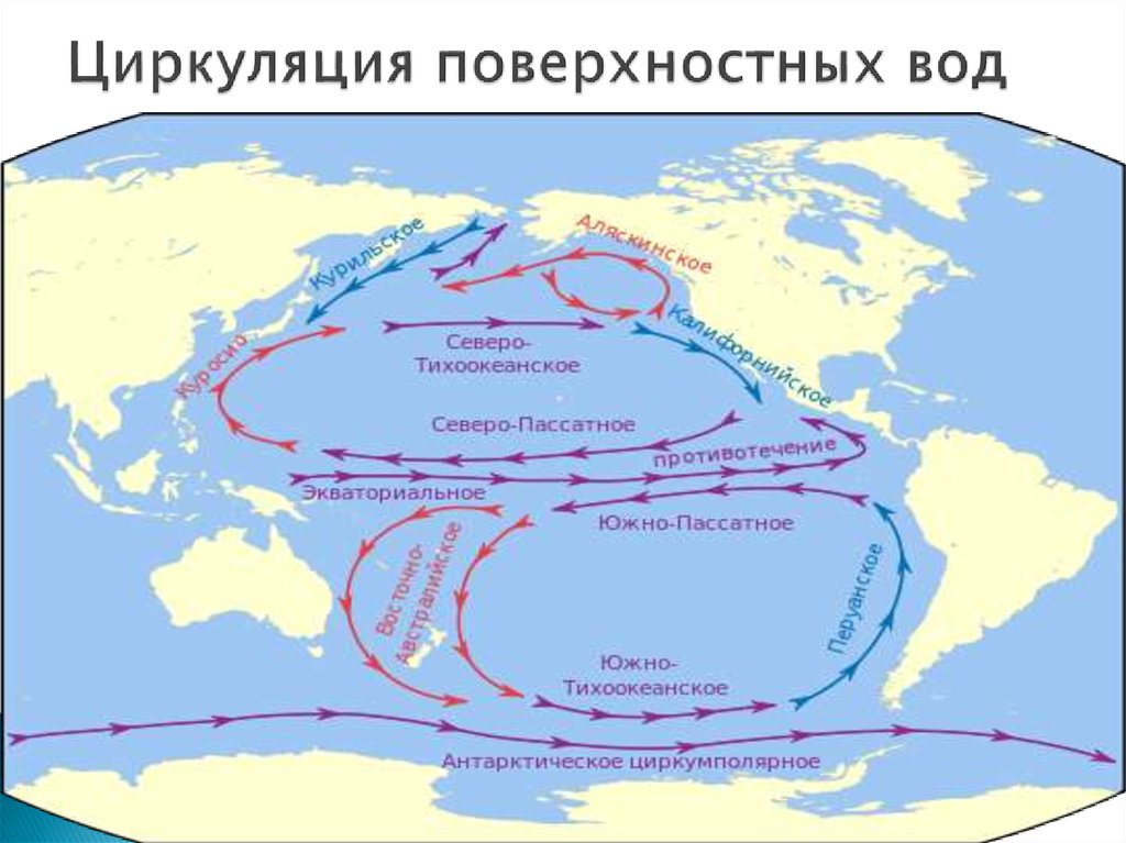 Океанические течения. Схема циркуляции вод мирового океана. ЭКВАТОРИАЛЬНОЕ противотечение в Атлантическом океане. Циркуляция поверхностных вод Тихого океана. Южно-Тихоокеанский круговорот.