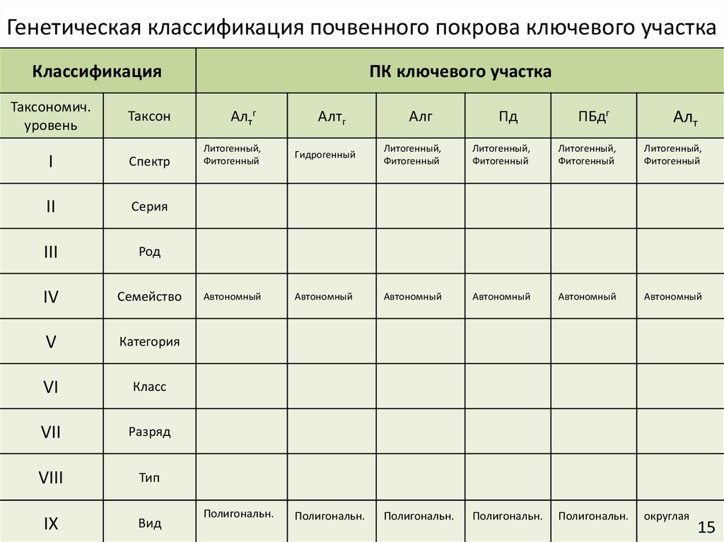 Генетическая классификация почвенного покрова ключевого участка