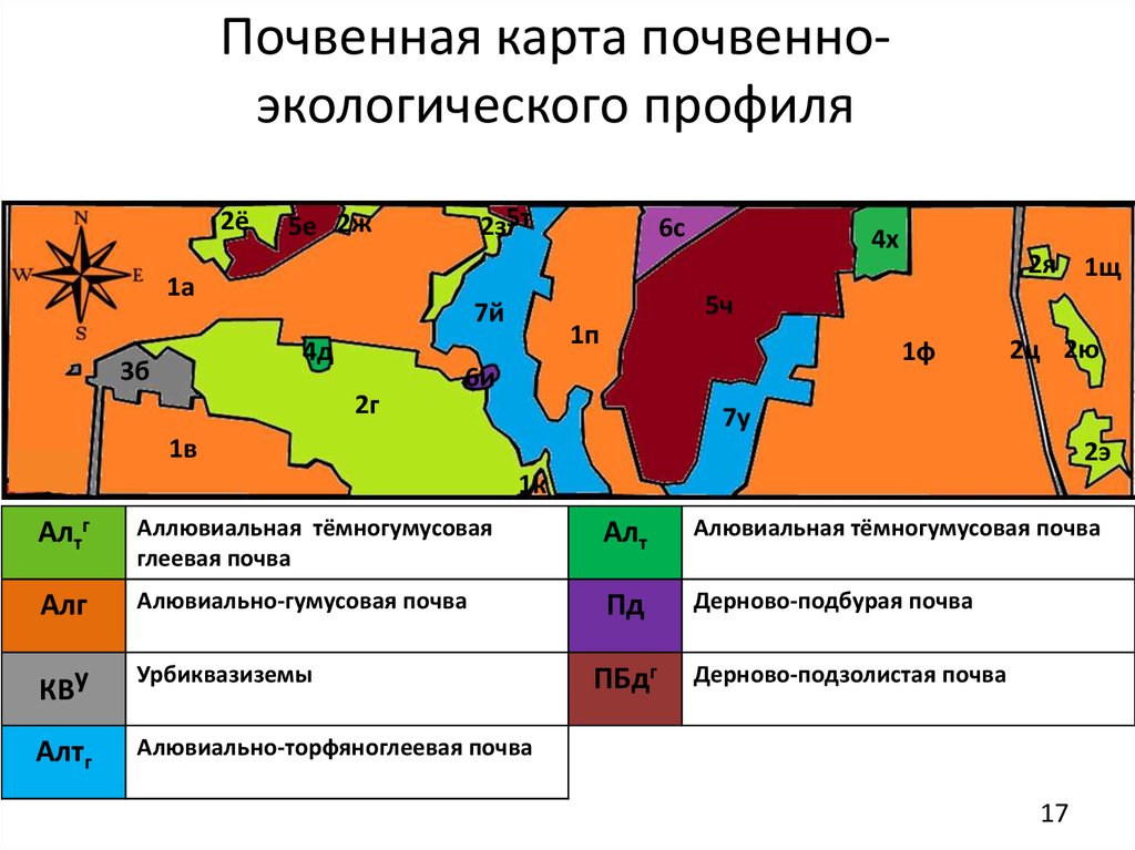 Почвенная карта. Почвенно-экологическая карта. Крупномасштабные почвенные карты. Почвенная карта почвенного экологического профиля.