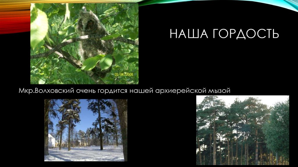 Наша гордость