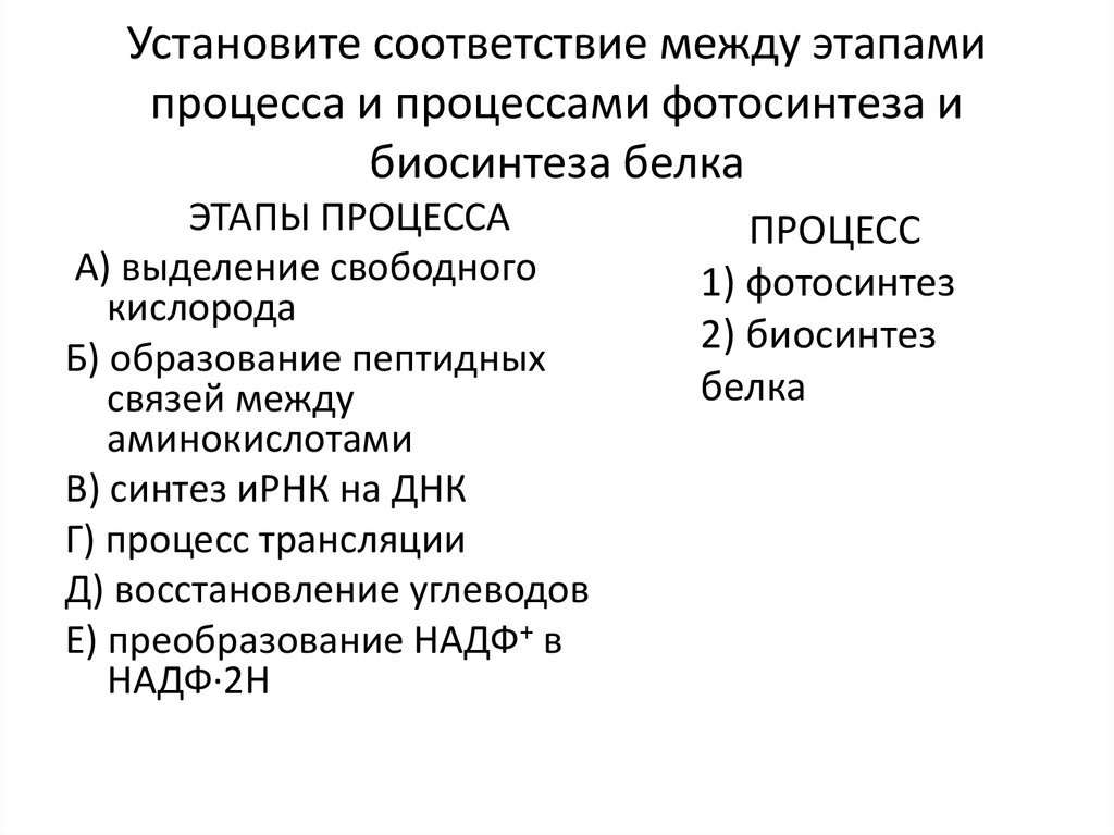 Установите соответствие между характеристиками и процессами обозначенными на схеме биосинтеза белка