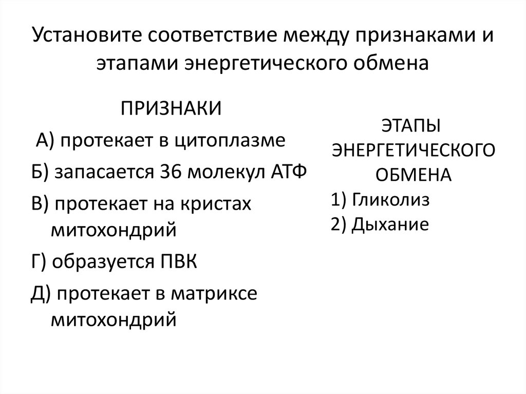 Установите соответствие между признаками и видами. Установите соответствие между этапами энергетического обмена. Соответствие между признаками обмена веществ и его этапами.. Признаки обмена веществ этапы. Признаки обмена этапы энергетического обмена.