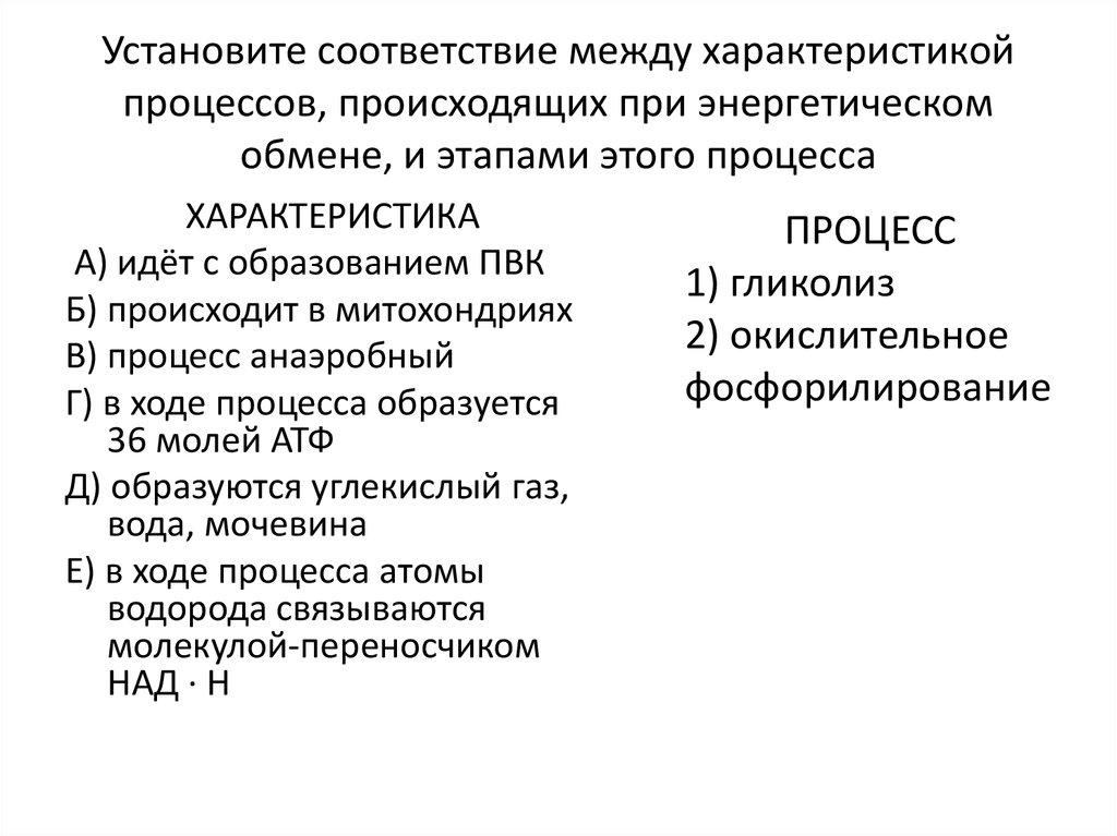 Установите соответствие процессов энергетического обмена