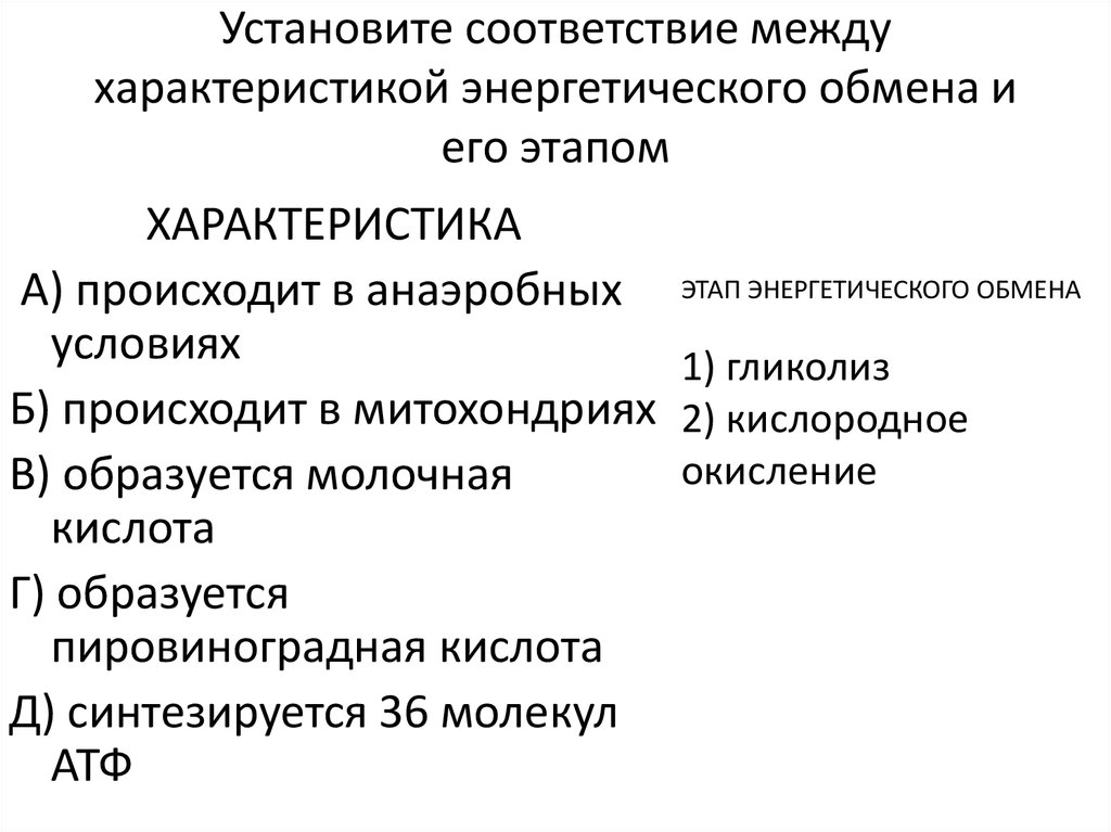 Характеристика энергетического обмена. Характеристика энергетического обмена и его этапы. Установите соответствие между этапами энергетического обмена. Установите соответствие между характеристиками и ст. Установите соответствие процессов энергетического обмена.