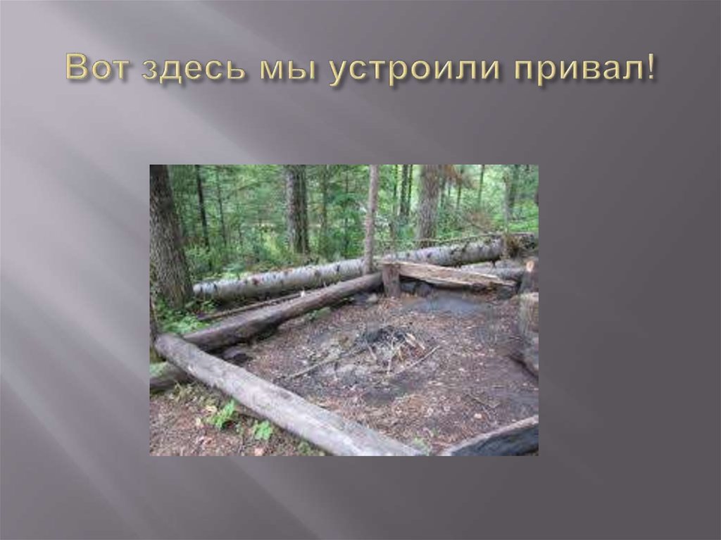 Вот здесь мы устроили привал!