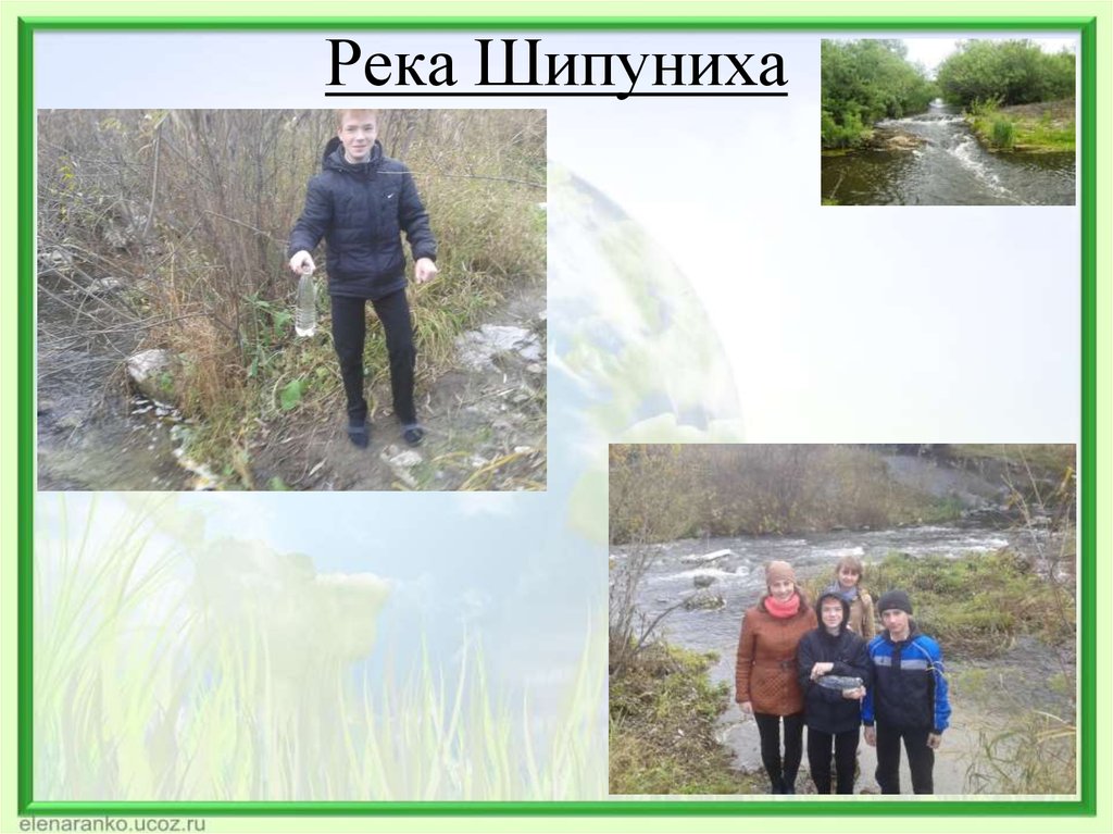 Погода в шипунихе третьяковского района. Шипуниха Алтайский край. Река Шипуниха.