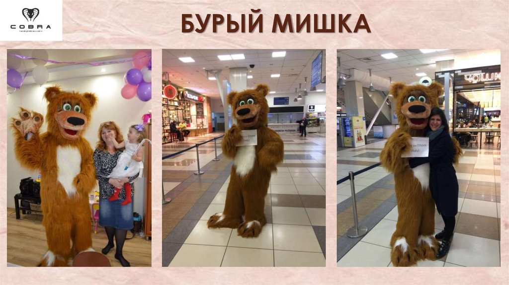 БУРЫЙ МИШКА