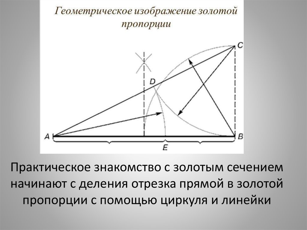 Золотое сечение бога