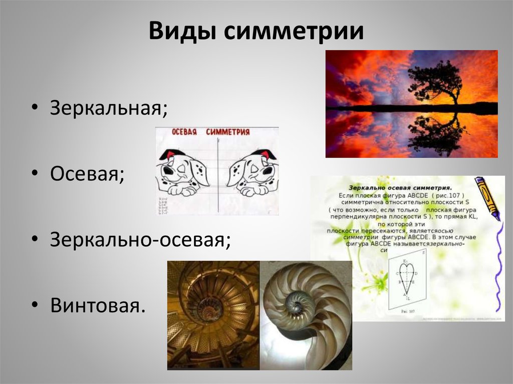 Виды симметрии. Золотая симметрия золотое сечение. Виды зеркальной симметрии. Виды симметрии с примерами.