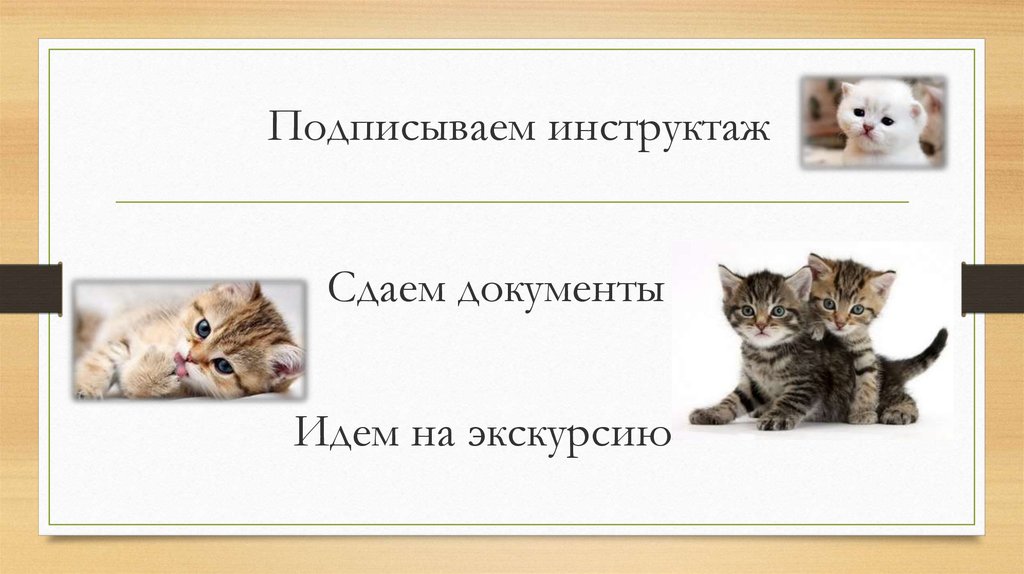 Подписываем инструктаж