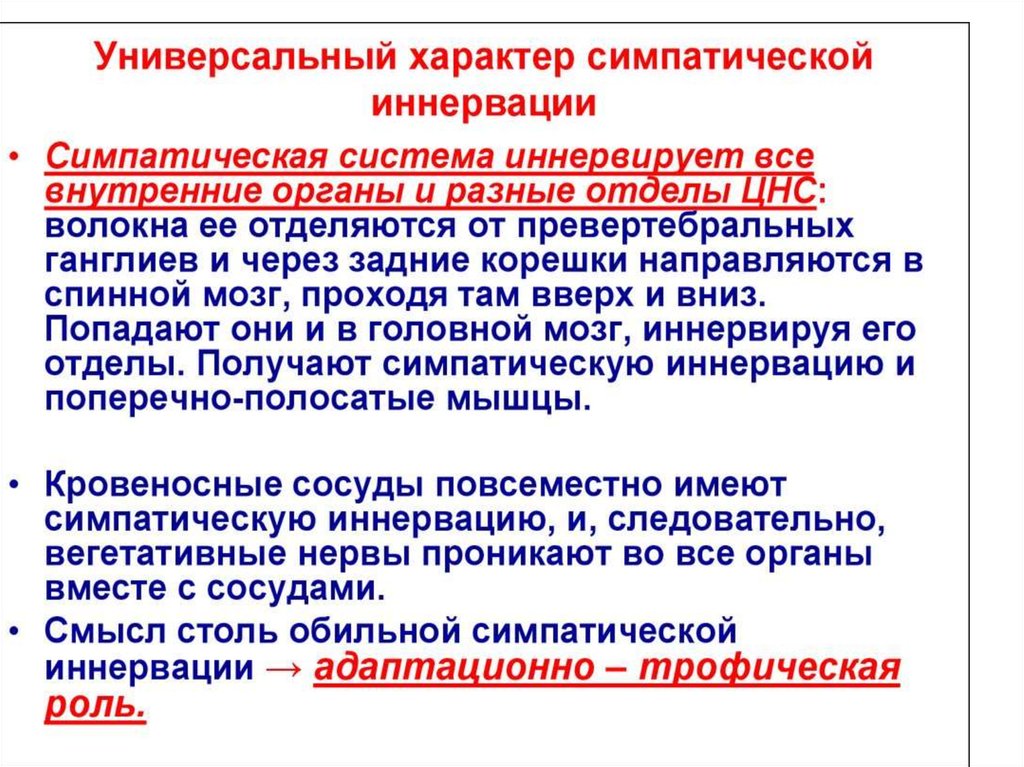 Физиология вегетативной нервной системы презентация