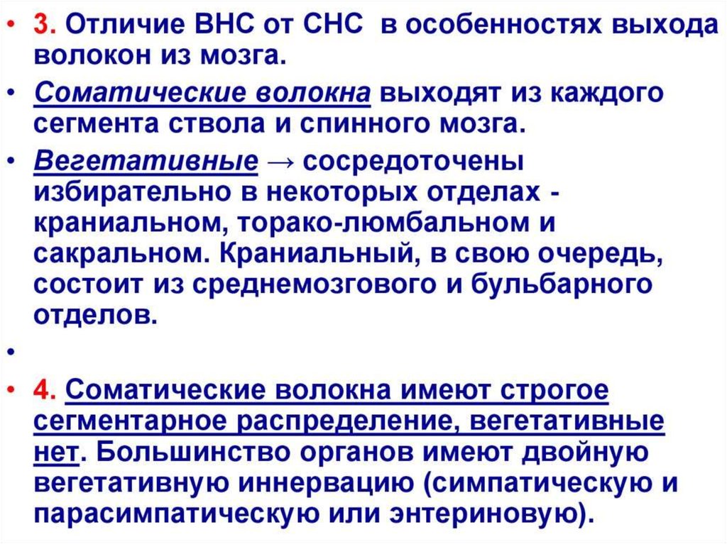 Физиология вегетативной нервной системы презентация