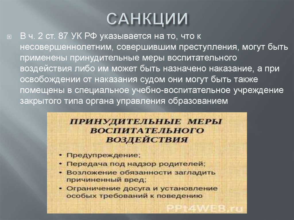 Уголовный кодекс рф содержит санкции. Санкции УК РФ.