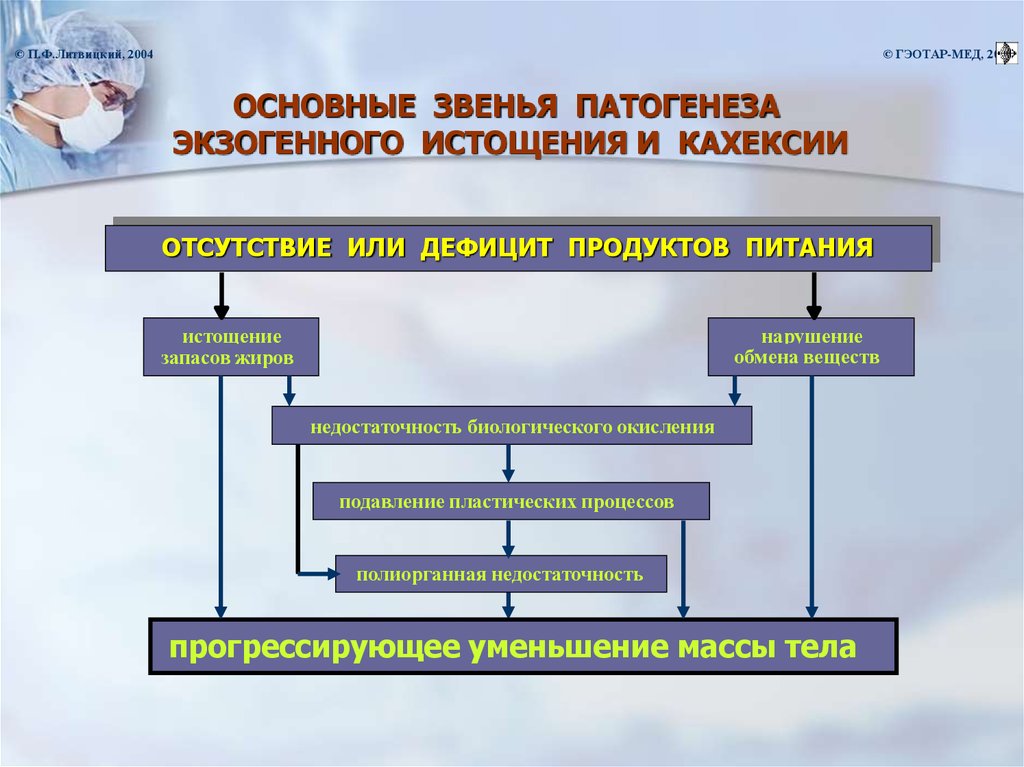 Схема липидного обмена