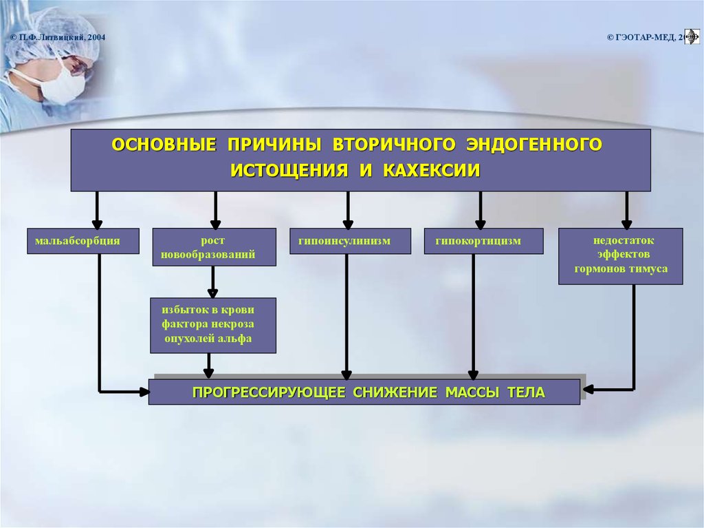 Липидный обмен фото