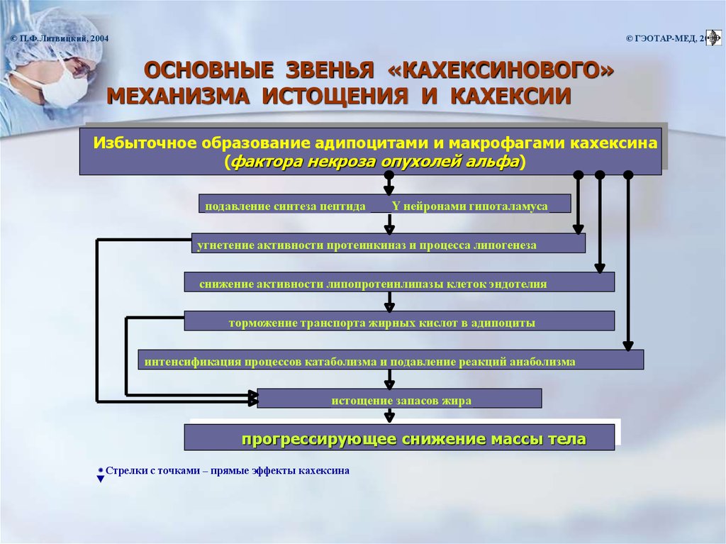 Патофизиология атеросклероза презентация