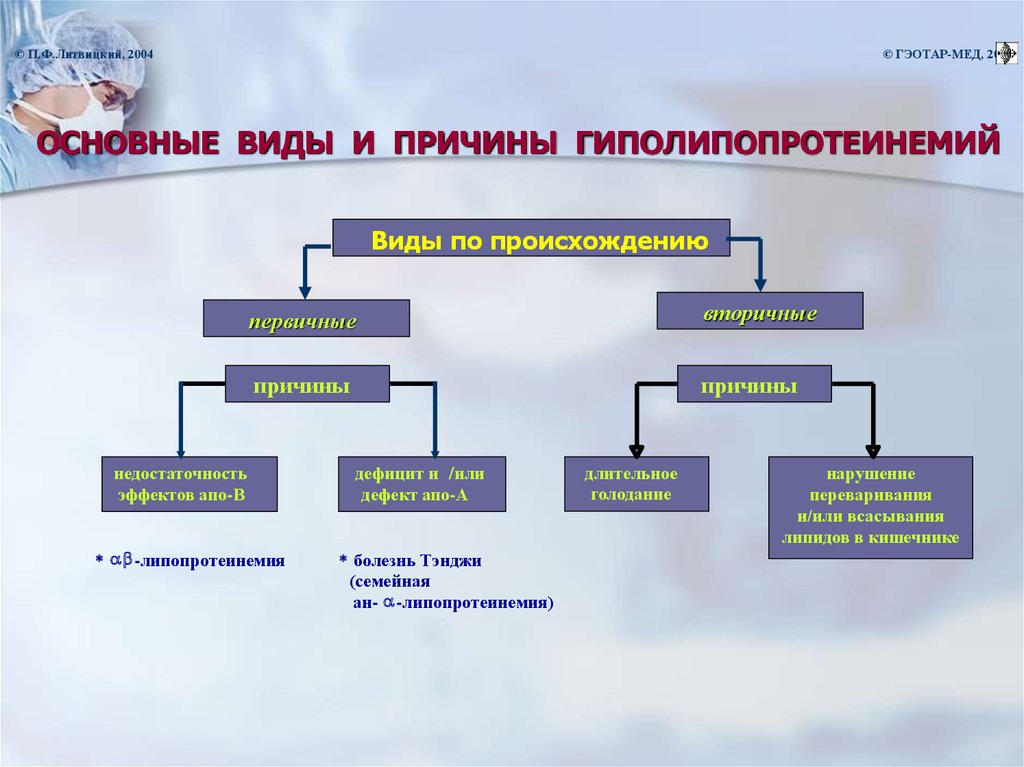 Схема липидного обмена