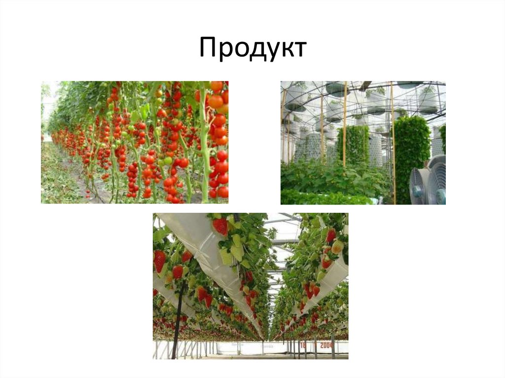 Продукт