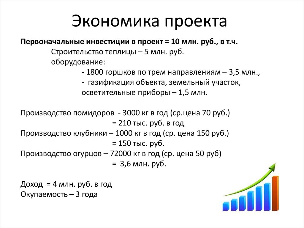 Экономика проекта