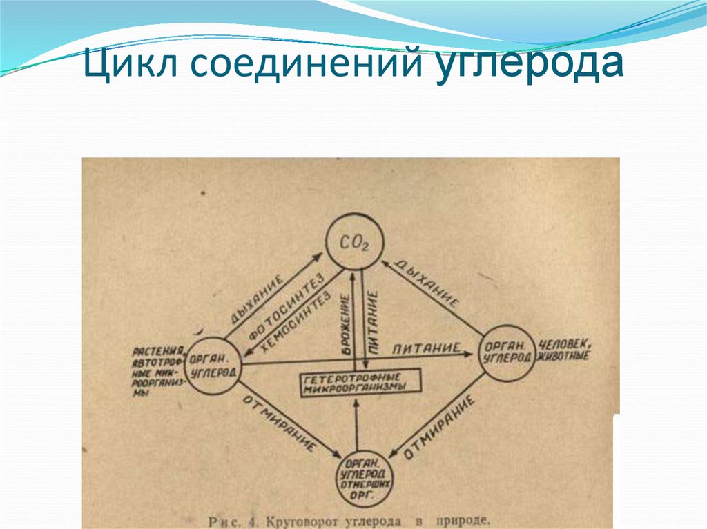 Схема превращения углерода