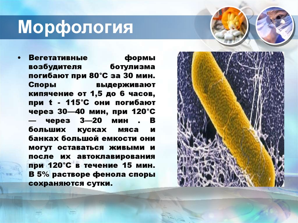 Свойства ботулизма