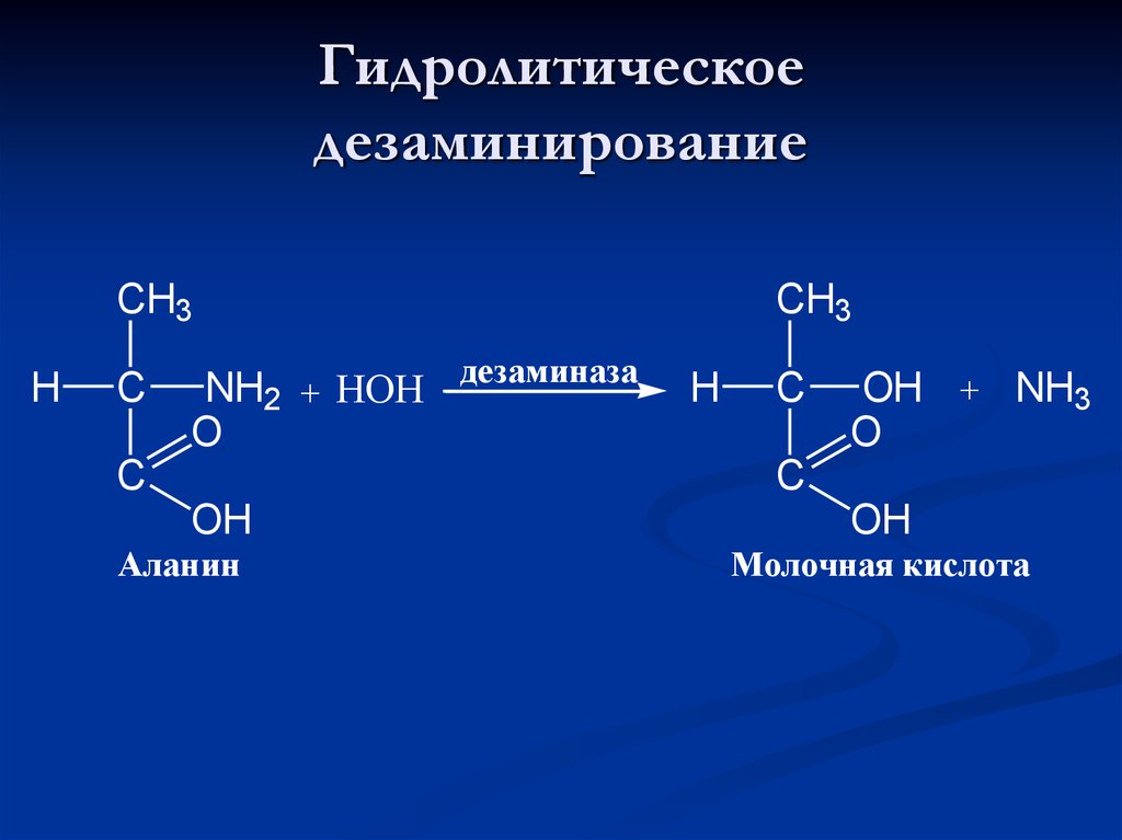 Наличие гидролитических ферментов